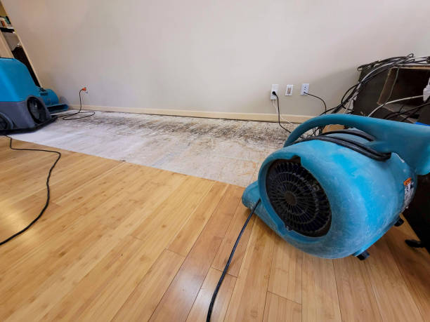 Professional Basement Flood Cleanup technician working in Harker Heights, TX